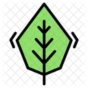 Leaf Nature Plant Icon