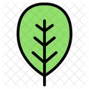 Leaf Nature Plant Icon