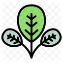 Leaf Nature Plant Icon