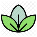 Leaf Nature Plant Icon