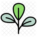 Leaf Nature Plant Icon