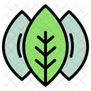 Leaf Nature Plant Icon