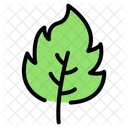 Leaf Nature Plant Icon