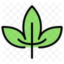 Leaf Nature Plant Icon