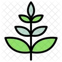 Leaf Nature Plant Icon