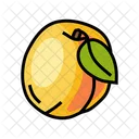 Leaf Apricot Fruit Apricot Leaf Icon