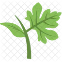 Leaf Branch Leaves Icon