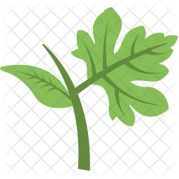 Leaf Branch  Icon