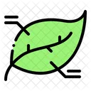 Leaf Data Icon