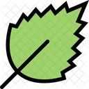 Leaf Ecology Eco Icon