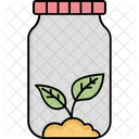 Leaf experiment  Icon
