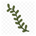 Leaf Flower Floral Icon