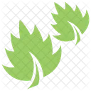Grass Broadleaf Greenery Icon