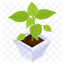 Leaf Houseplant  Icon