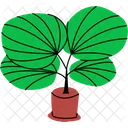 Leaf Houseplant Decorative Plant Potted Plant Icon