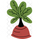 Leaf Houseplant  Icon
