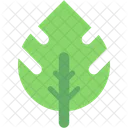 Leaf Botanical Summer Icon