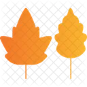 Leaf Icon Icon