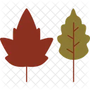 Leaf  Icon