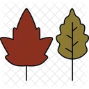 Leaf Icon Icon