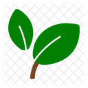Leaf Nature Plant Icon