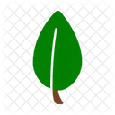 Leaf Nature Plant Icon