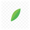 Leaf Nature Plant Icon