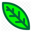 Leaf Foliage Leaves Icon