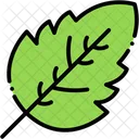 Leaf Foliage Nature Icon