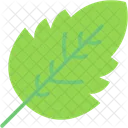 Leaf  Icon