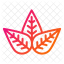 Leaf Leaves Nature Icon