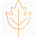 Leaf Maple Plant Icon