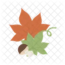 Leaf  Icon