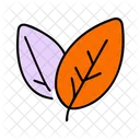 Leaf Nature Environment Icon