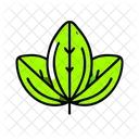 Leaf Nature Environment Icon