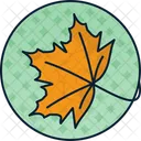 Leaf Nature Green Icon