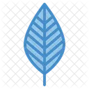 Leaf  Icon