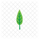 Leaf  Icon