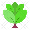 Leaf Nature Sign Icon