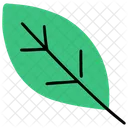 Nature Leaf Tree Icon