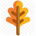 Leaf  Icon