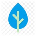 Leaf  Icon