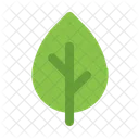 Leaf  Icon