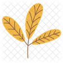 Leaf Plant Green Icon