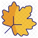 Leaf Icon