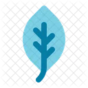 Leaf Plant Leaves Icon