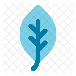 Leaf  Icon