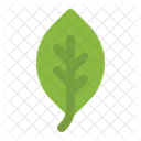 Leaf Plant Leaves Icon