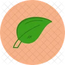 Leaf Plant Nature Icon