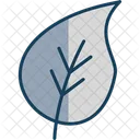 Leaf Plant Nature Icon